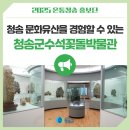 청송수석꽃돌박물관 | 청송 문화유산을 경험할 수 있는 청송군수석꽃돌박물관