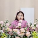 스튜디오청사진 이미지