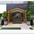 엔젤애견 이미지