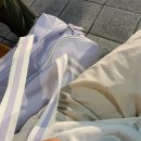 드림스테이 | [법륜사] Dream 드림 체험형 템플스테이 후기