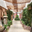 오색진두부 이미지