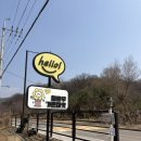 파란나무유치원 | 고양 삼송 헬로우가든마켓 | 아이랑 가기 좋은 화원, 봄 꽃 모종 구입 후기