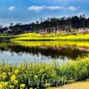 테마(야경 11~3월) 이미지