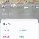 남새밭보리밥 이미지