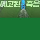 J-029 | [올리비아의 '나를 움직인 영화' 029] 예고된 죽음 : PD수첩 4대강 10년의 기록 (2023)