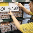 파동마트