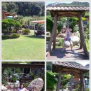 버즈힐펜션 이미지