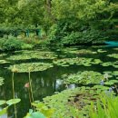 모네정원 이미지