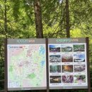 장태울다리 이미지