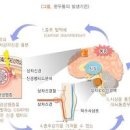 편두통 심할때 원인 두통 없애는법 이미지