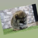 동두천-037 이미지