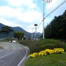 화산체육공원5 이미지