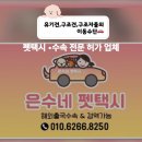 은수네 펫택시 이미지