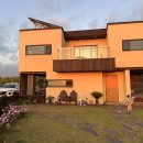 판판포포 이미지