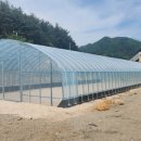 묘하우스 이미지