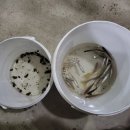 곰마을민박