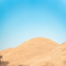 예술인기살리기<음악2> | 경주 황리단길 카페 조르바 : 대릉원 뷰가 예술인 햇살 맛집 (내돈내산 솔직후기)