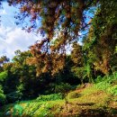 대야초 정문 앞 이미지