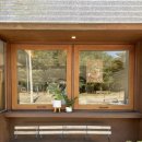 폴브라운(Paul Brown)