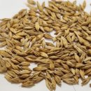 하이브짐 이미지