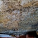 N105 | 집안에 찾아온 물난리? 오산동 누수탐지 전문가와 함께라면 안심이에요!