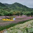 용대관광지 이미지