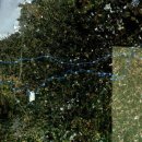 제주 올레길 13코스 이미지