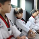 으뜸태권도 이미지