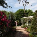 원주허브팜식물박물관 이미지