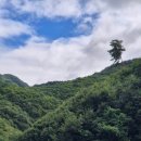 비발디 캠핑파크 | [홍천] 비발디캠핑파크 미루나무점 내돈내산 후기