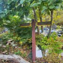 명동파크장 이미지