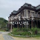 논산시.namuwiki 이미지