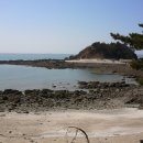 솔향기길1코스(당봉) 이미지