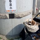 현풍닭칼국수 김천교동점 :: 김천 연화지 맛집 김치와 닭칼국수 끝내주는 놀이방 식당 김천칼국수 맛집
