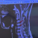 팀나이스짐 이미지