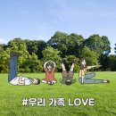 해동검도.합기도