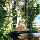 전주한옥마을 사드락 한 바퀴 여행길 | 🌱[여행]2박 3일 전주·여수 여행 루트: 카페, 시장, 명소, 맛집,힐링 코스