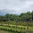 안식목장 이미지