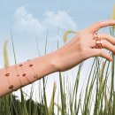 키린 카카오 검색결과