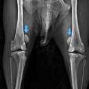 더오래 동물병원 이미지