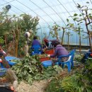 명덕농장 이미지