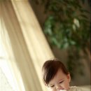 분당-200 이미지