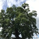 칠원우체국 이미지