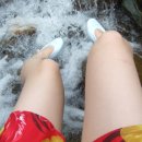 홍원농장 이미지