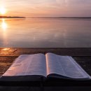 다윗목장 이미지