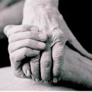 백년백세 이미지