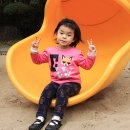다경 Daum카페