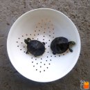 규리농장 이미지