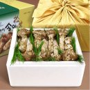 봉화한우인공수정소 | 자연산 국산 송이버섯 국내산 자연 송이 양양 봉화 속리산 프리미엄 선물 세트