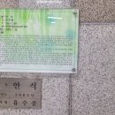 오쇼잉 이미지